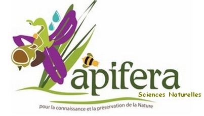 APIFERA Sciences naturelles